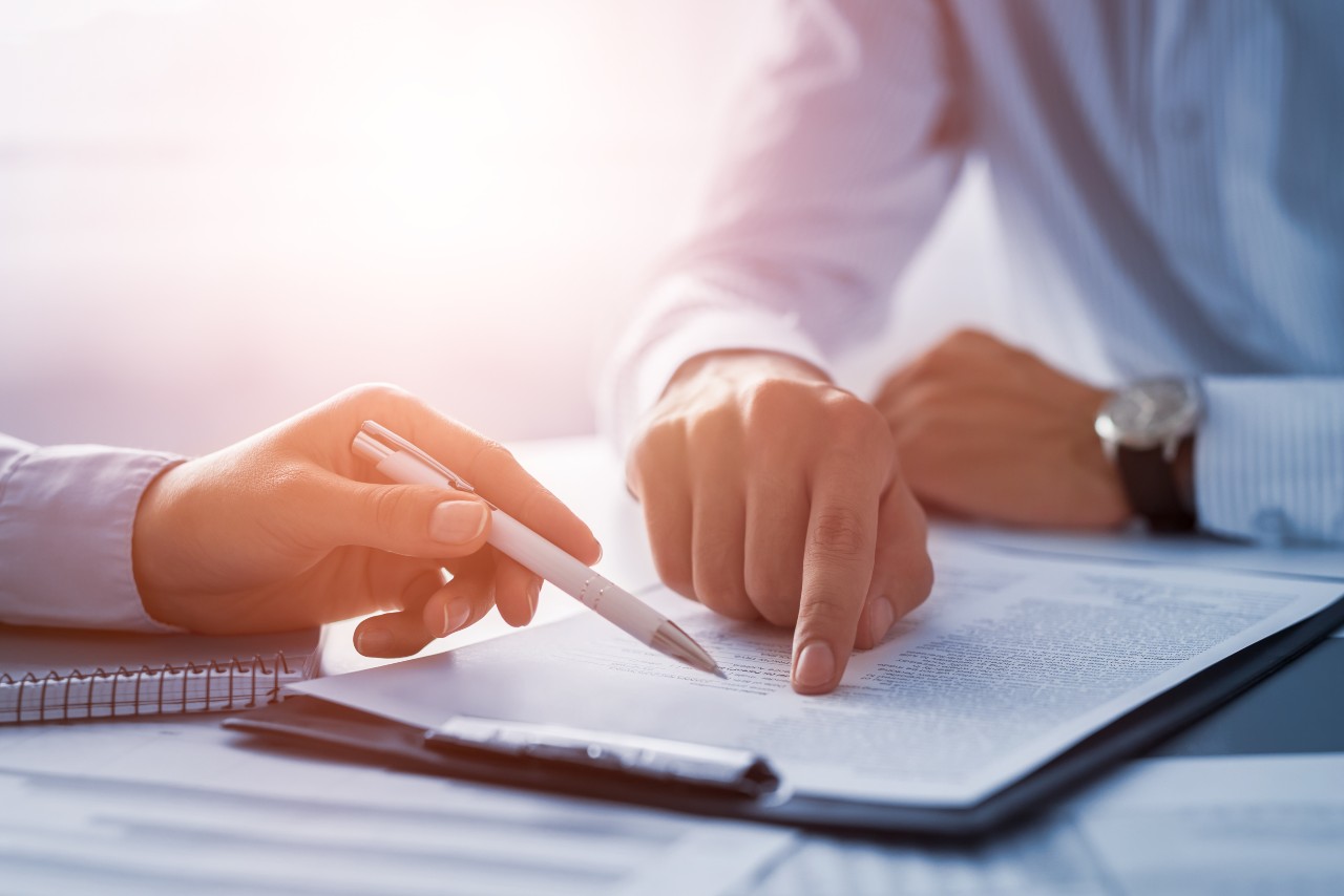 A professional advisor reviewing a plan with a client