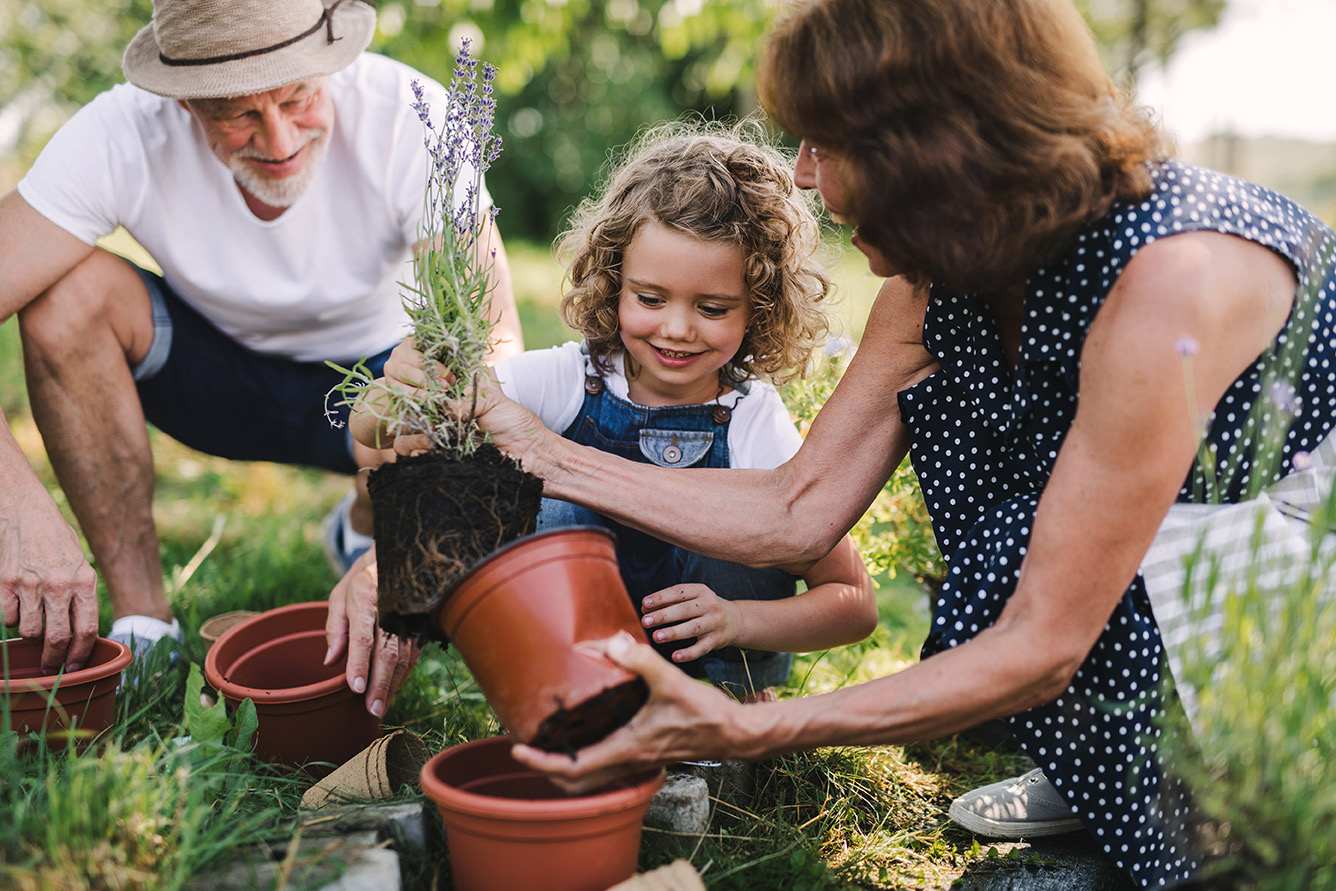 A family reviewing their estate plan