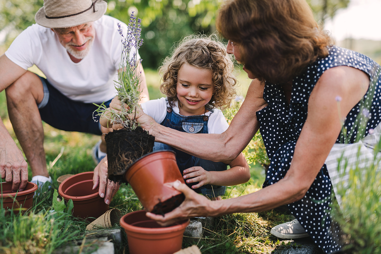 Estate and Legacy Planning | Wealth Ease Wealth Management